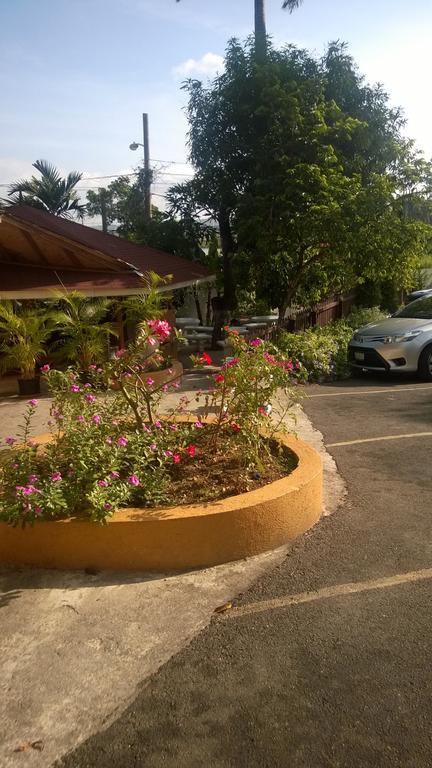 Palm Bay Guest House & Restaurant Montego Bay Eksteriør bilde
